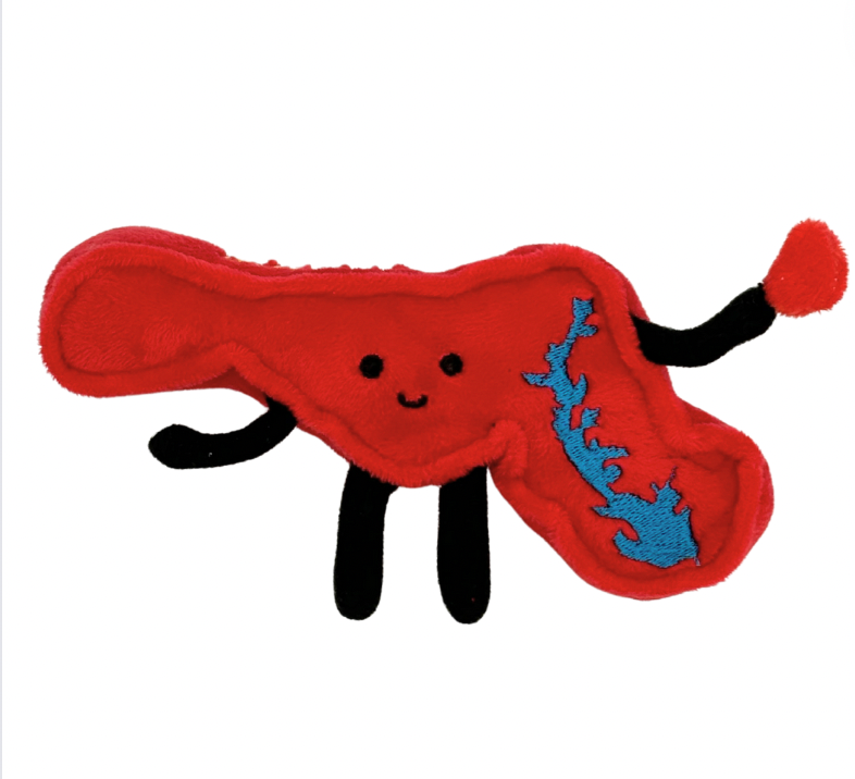 "4-inch Maryland-shaped mini stuffed magnet, perfect for fridges and lockers with detailed stitching