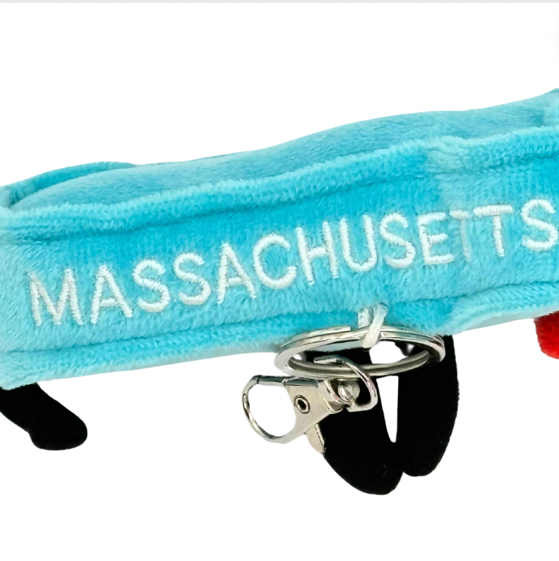4-inch Massachusetts-shaped plush bag charm mini, perfect for backpacks and keyrings with detailed stitching