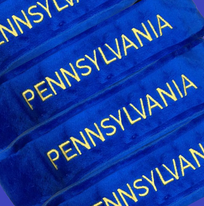 Pennsylvania State Stuffed Plush