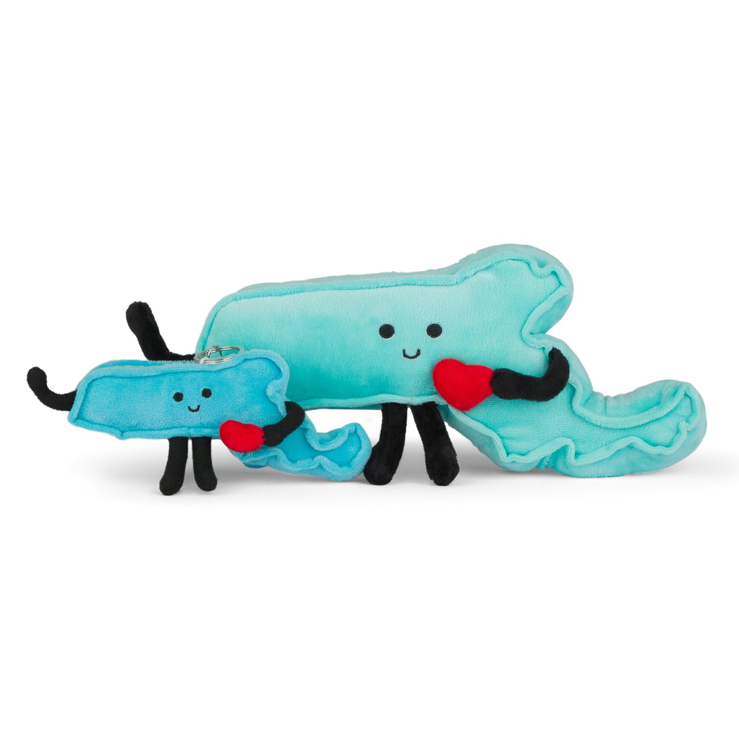 Massachusetts-shaped stuffed state plush, perfect for collectors and educational use with detailed stitching and soft materials