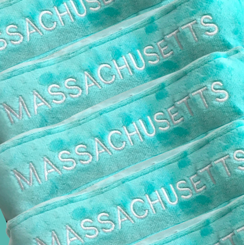 Massachusetts State Stuffed Plush