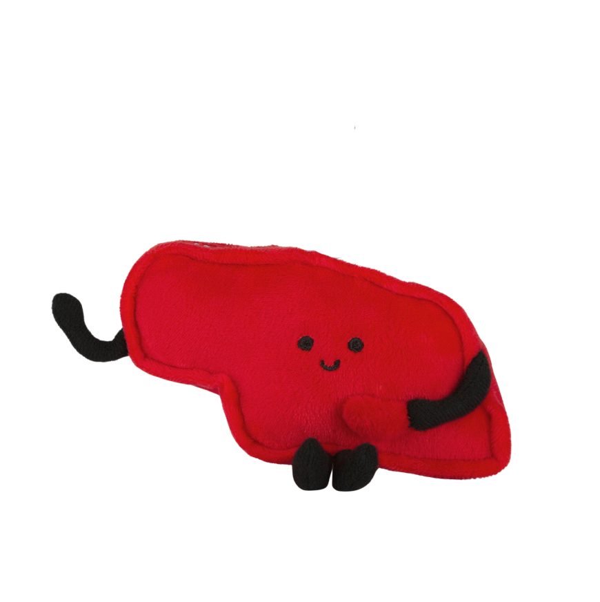 Nebraska Magnet Mini Plush – 4-Inch Travel Accessory | Stuffed States USA