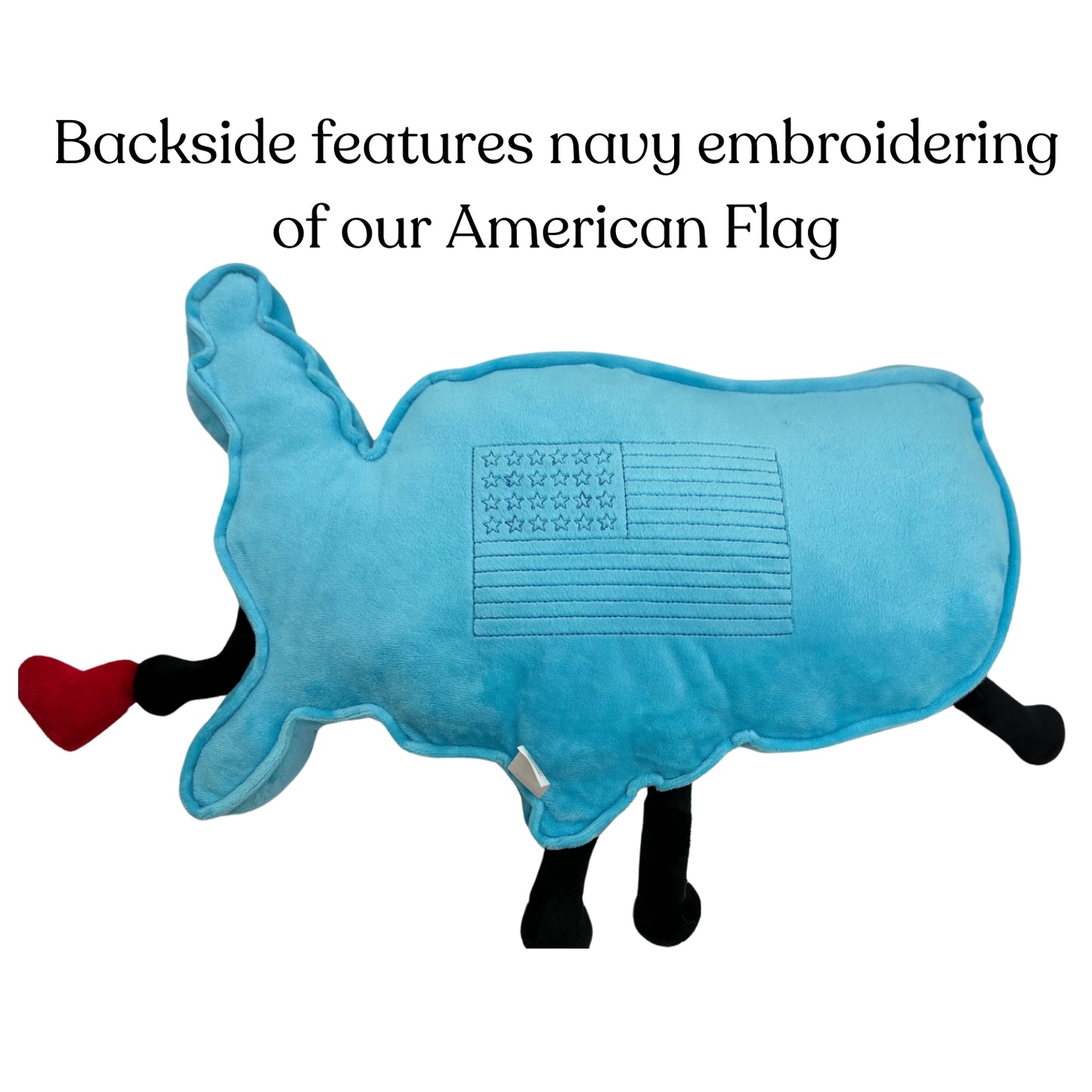 Soft USA plush pillow featuring all 48 contiguous states