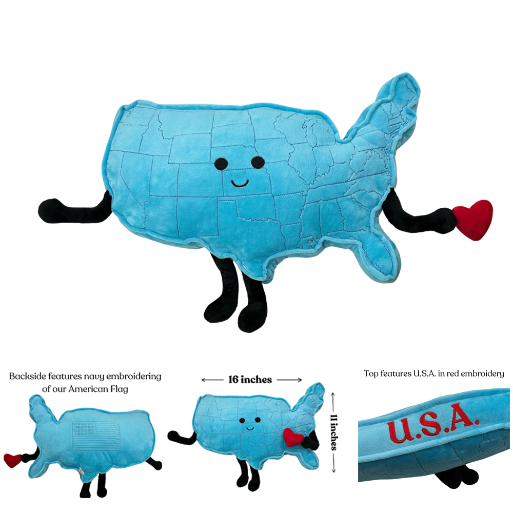 Soft USA plush pillow featuring all 48 contiguous states