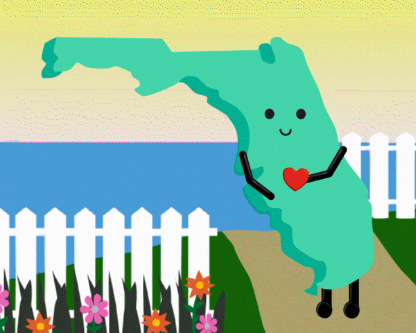 Florida Stuffed State Plush with Sea Turtle – Collectible & Educational | Stuffed States USA