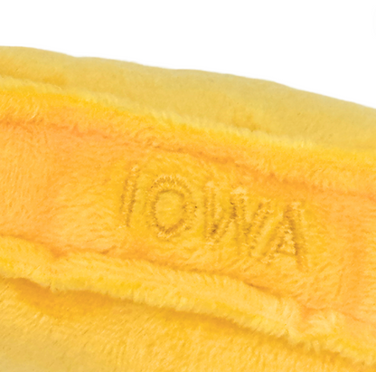 Iowa Magnet