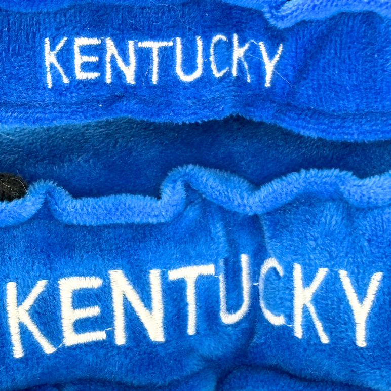 Kentucky Magnet