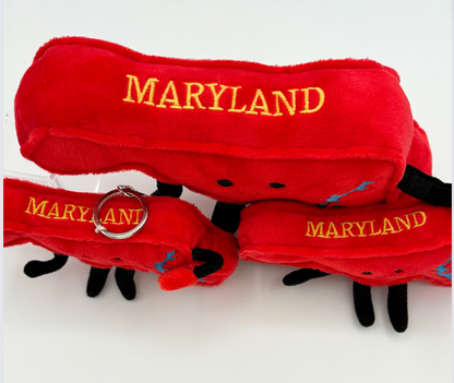 Maryland Magnet