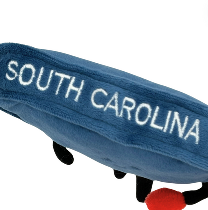 South Carolina Magnet