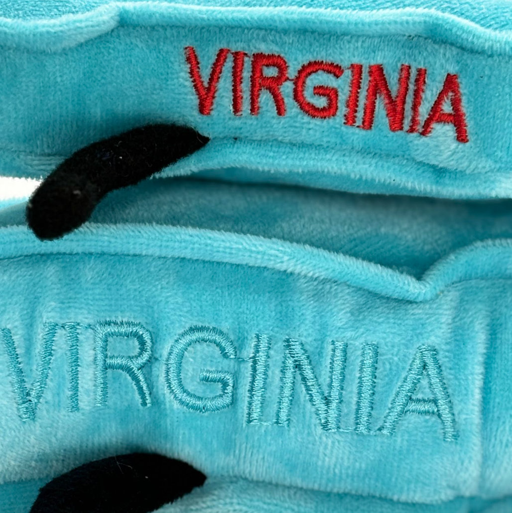Virginia Shape Fun Virginia Stuffed States Magnet – Stuffed States USA