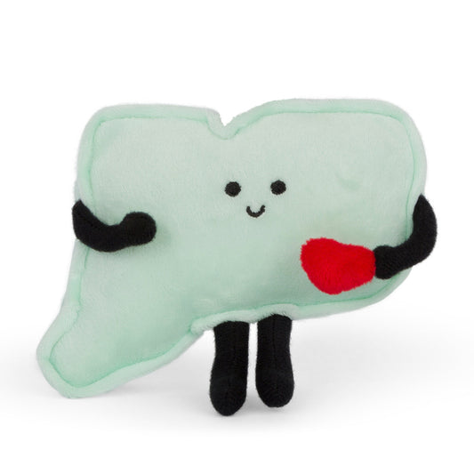 Connecticut Stuffed State Magnet Plush – Collectible & Educational | Stuffed States USA