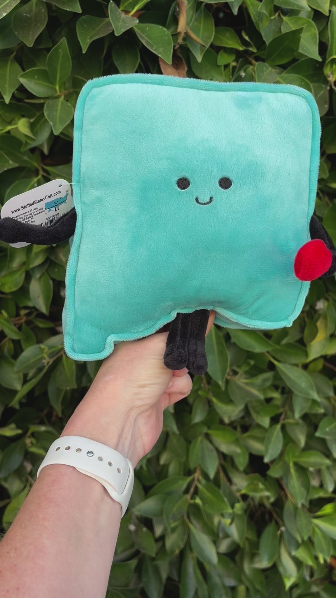 New Mexico Stuffed State Plush – Collectible & Educational