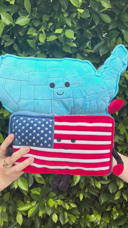 USA Mascot Map Pillow | Educational Plush Toy | Stuffed States USA
